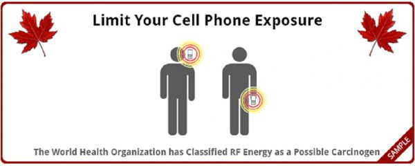 Cientistas canadenses começam a fazer campanha sobre riscos do excesso de exposição ao celular