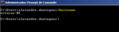 hostname